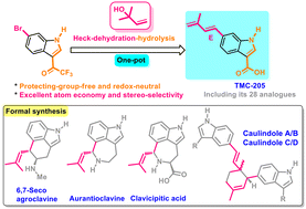 Graphical abstract: Synthetic approach toward the indole alkaloid TMC-205, 6,7-secoagroclavine, aurantioclavine, clavicipitic acid, and caulindoles A–D