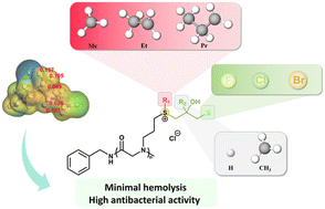 Graphical abstract: Engineering polysulfoniums for enhanced antibacterial activity with extremely minimal hemolysis