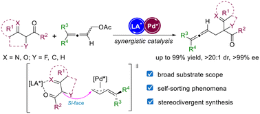Graphical abstract: Synergistic catalytic allenylic alkylation for stereodivergent construction of allenes bearing 1,3-axial and central chirality
