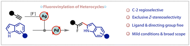 Graphical abstract: Palladium-catalysed regio- and stereo-controlled C-2 β-fluorovinylation of indoles