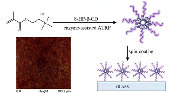 Graphical abstract: Open-aired synthesis of star-shaped poly[2-(methacryloyloxy)ethyl trimethylammonium chloride]