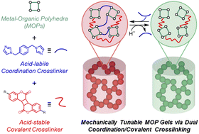 Graphical abstract: Mechanically tunable porous gels constructed via the dual coordination/covalent polymerization of coumarin-functionalized rhodium–organic cuboctahedra