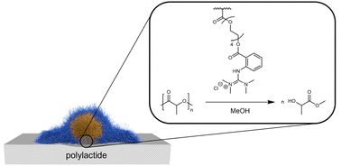 Graphical abstract: Depolymerization of PLA catalyzed by guanidine-modified microgels