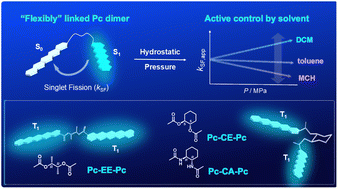 Graphical abstract: Critical molecular design that can actively control intramolecular singlet fission by hydrostatic pressure