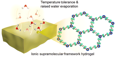 Graphical abstract: Cluster-directed ionic framework supramolecular hydrogel with high-temperature tolerability and enhanced water evaporation