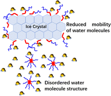 Graphical abstract: l-Methionine sulfoxide and l-alanine copolymers for ice control