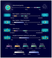 Graphical abstract: Evaluating the impact of simulated microgravity of a random positioning machine on the stability of emulsions applying scaling analysis via dimensionless numbers