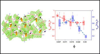 Graphical abstract: Transient interactions and local heterogeneity drive rotational–translational decoupling of nanorods in semidilute mucin solutions
