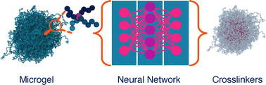 Graphical abstract: Predicting the structure and swelling of microgels with different crosslinker concentrations by combining machine learning with numerical simulations