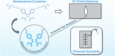 Graphical abstract: Toughening 3D printed elastomers using mechanophore crosslinkers