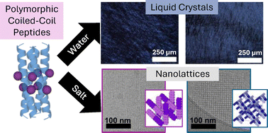 Graphical abstract: Designed coiled-coil peptide nanoparticles with tunable self-assembly: distinct ordered nanostructures via nonnatural side chain modification and electrostatic screening