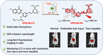 Graphical abstract: Novel near-infrared solid-state probe for monitoring carbon monoxide in cholestatic liver injury and toxic hepatitis