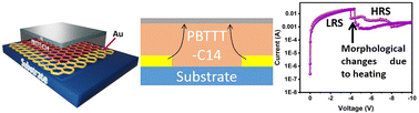 Graphical abstract: Inverted resistive switching mechanism in polycrystalline PBTTT-C14 polymer devices based on contact geometry and molecular packing for neuromorphic memory