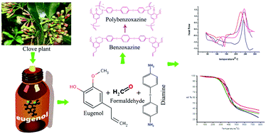 Graphical abstract: Synthesis and characterization of novel bio-based benzoxazines from eugenol