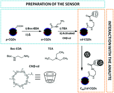 Graphical abstract: β-Cyclodextrin functionalized carbon quantum dots as sensors for determination of water-soluble C60 fullerenes in water