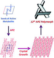 Graphical abstract: An unprecedented case of dodecamorphism: the twelfth polymorph of aripiprazole formed by seeding with its active metabolite