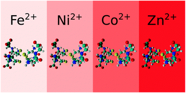 Graphical abstract: Cysteine containing dipeptides show a metal specificity that matches the composition of seawater