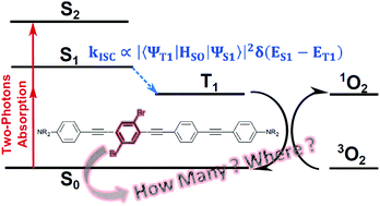 Graphical abstract: A combined theoretical and experimental investigation on the influence of the bromine substitution pattern on the photophysics of conjugated organic chromophores