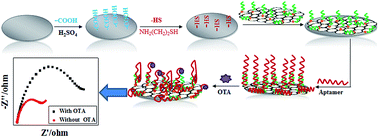 Graphical abstract: A novel impedimetric aptasensor based on AuNPs–carboxylic porous carbon for the ultrasensitive detection of ochratoxin A