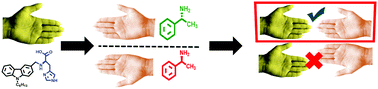 Graphical abstract: Preferential intermolecular interactions lead to chiral recognition: enantioselective gel formation and collapse