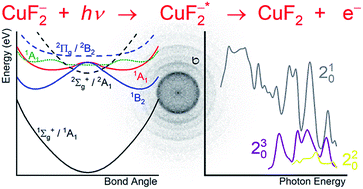 Graphical abstract: Spectroscopy of temporary anion states: Renner–Teller coupling and electronic autodetachment in copper difluoride anion