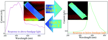 Graphical abstract: Erasable memory properties of spectral selectivity modulated by temperature and bias in an individual CdS nanobelt-based photodetector