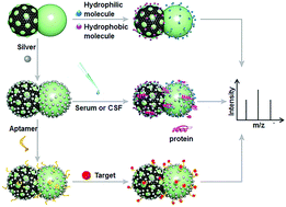 Graphical abstract: Plasmonic Janus hybrids for the detection of small metabolites