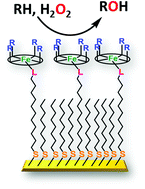 Graphical abstract: A heterogeneous bio-inspired peroxide shunt for catalytic oxidation of organic molecules