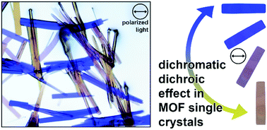 Graphical abstract: Pillared cobalt metal–organic frameworks act as chromatic polarizers