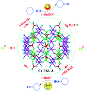 Graphical abstract: Identification of key oxidative intermediates and the function of chromium dopants in PKU-8: catalytic dehydrogenation of sec-alcohols with tert-butylhydroperoxide