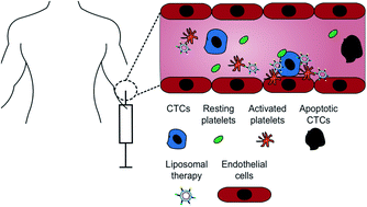 Graphical abstract: Platelet mediated TRAIL delivery for efficiently targeting circulating tumor cells