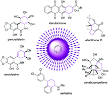 Graphical abstract: Total synthesis of natural products using photocycloaddition reactions of arenes