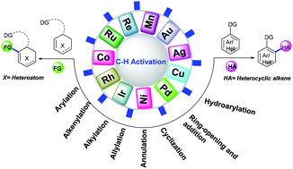 Graphical abstract: Transition metal-catalyzed coupling of heterocyclic alkenes via C–H functionalization: recent trends and applications