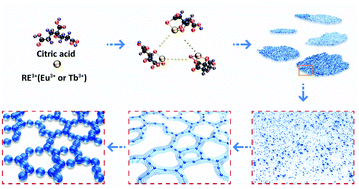 Graphical abstract: “Hot-node” controlled facile synthesis of 3D rare earth micro-networks with symmetry deviation induced high luminescence