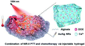 Graphical abstract: Injectable hydrogel-mediated combination of hyperthermia ablation and photo-enhanced chemotherapy in the NIR-II window for tumor eradication