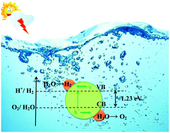 Graphical abstract: Potential SiX (X = N, P, As, Sb, Bi) homo-bilayers for visible-light photocatalyst applications