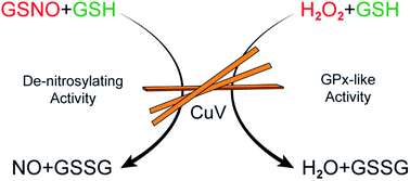 Graphical abstract: A GPx-mimetic copper vanadate nanozyme mediates the release of nitric oxide from S-nitrosothiols