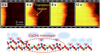 Graphical abstract: Atomic-scale structures and dynamics at the growing calcite step edge investigated by high-speed frequency modulation atomic force microscopy