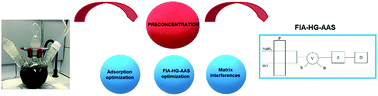 Graphical abstract: Optimized preconcentration method using magnetic dispersive solid-phase microextraction with GO–γFe2O3 nanoparticles for the determination of Se in fish samples by FIA-HG-AAS