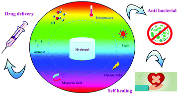 Graphical abstract: Multi-stimuli-responsive hydrogels and their medical applications