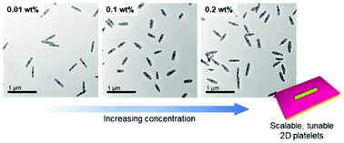 Graphical abstract: Towards scalable, low dispersity, and dimensionally tunable 2D platelets using living crystallization-driven self-assembly