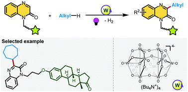 Graphical abstract: Decatungstate-photocatalyzed direct coupling of inert alkanes and quinoxalin-2(1H)-ones with H2 evolution