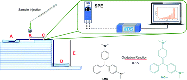 Graphical abstract: Micro flow injection analysis of leucomalachite green in fish muscle using modified henequen fibers as microfluidic channels