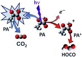 Graphical abstract: Probing the dynamics of the photo-induced decarboxylation of neutral and ionic pyruvic acid