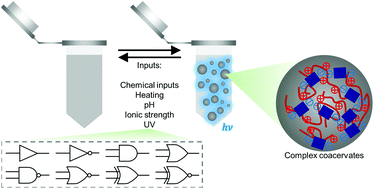 Graphical abstract: Molecular logic operations from complex coacervation with aggregation-induced emission characteristics