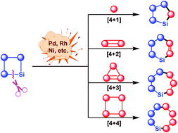 Graphical abstract: Recent advances in the reactions of silacyclobutanes and their applications