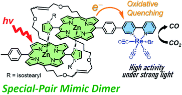 Graphical abstract: Photocatalytic CO2 reduction sensitized by a special-pair mimic porphyrin connected with a rhenium(i) tricarbonyl complex