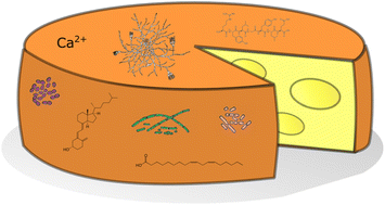 Graphical abstract: Metabolomics of bacterial–fungal pairwise interactions reveal conserved molecular mechanisms