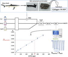 Graphical abstract: Assessment of collagen content in fish skin – development of a flow analysis method for hydroxyproline determination