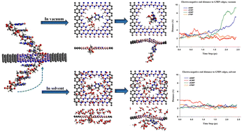 Graphical abstract: Exploring the dynamics of DNA nucleotides in graphene/h-BN nanopores: insights from ab initio molecular dynamics